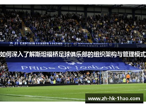 如何深入了解斯坦福桥足球俱乐部的组织架构与管理模式